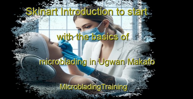 Skinart Introduction to start with the basics of microblading in Ugwan Makafo | MicrobladingTraining | MicrobladingClasses | SkinartTraining-Nigeria