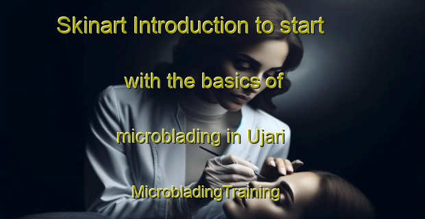 Skinart Introduction to start with the basics of microblading in Ujari | MicrobladingTraining | MicrobladingClasses | SkinartTraining-Nigeria