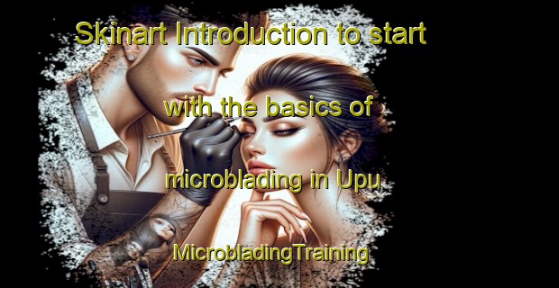 Skinart Introduction to start with the basics of microblading in Upu | MicrobladingTraining | MicrobladingClasses | SkinartTraining-Nigeria