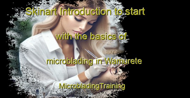 Skinart Introduction to start with the basics of microblading in Wamurete | MicrobladingTraining | MicrobladingClasses | SkinartTraining-Nigeria
