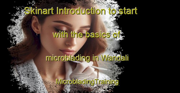 Skinart Introduction to start with the basics of microblading in Wandali | MicrobladingTraining | MicrobladingClasses | SkinartTraining-Nigeria
