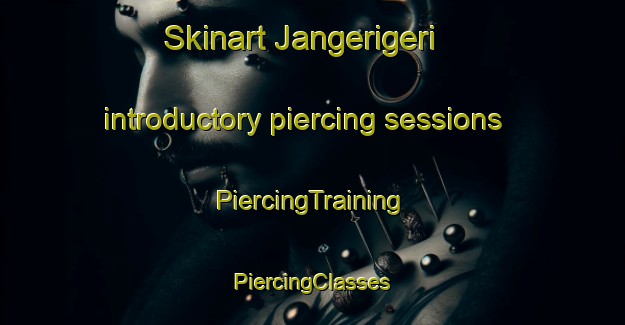 Skinart Jangerigeri introductory piercing sessions | #PiercingTraining #PiercingClasses #SkinartTraining-Nigeria