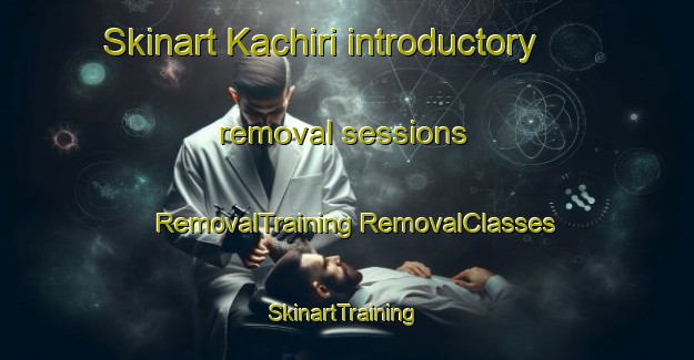 Skinart Kachiri introductory removal sessions | #RemovalTraining #RemovalClasses #SkinartTraining-Nigeria