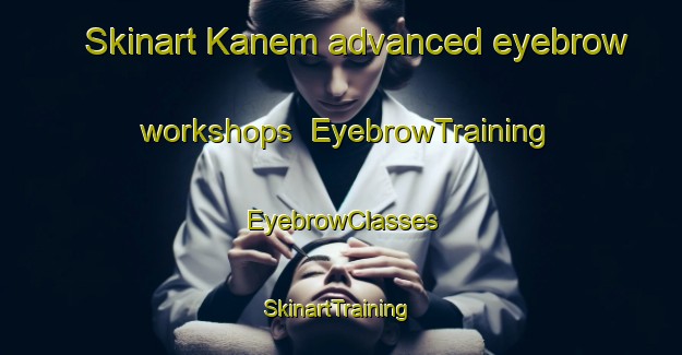 Skinart Kanem advanced eyebrow workshops | EyebrowTraining | EyebrowClasses | SkinartTraining-Nigeria