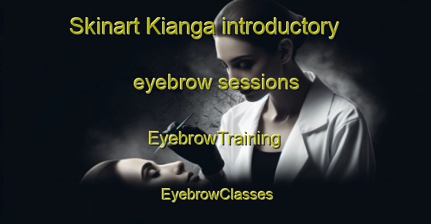 Skinart Kianga introductory eyebrow sessions | EyebrowTraining | EyebrowClasses | SkinartTraining-Nigeria