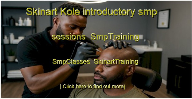 Skinart Kole introductory smp sessions | SmpTraining | SmpClasses | SkinartTraining-Nigeria
