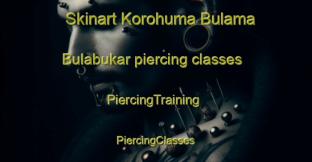 Skinart Korohuma Bulama Bulabukar piercing classes | #PiercingTraining #PiercingClasses #SkinartTraining-Nigeria