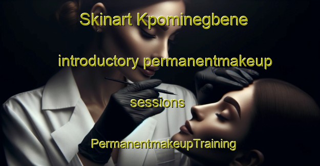 Skinart Kpominegbene introductory permanentmakeup sessions | PermanentmakeupTraining | PermanentmakeupClasses | SkinartTraining-Nigeria