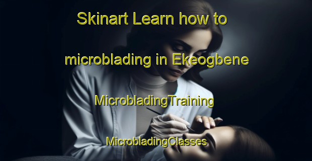 Skinart Learn how to microblading in Ekeogbene | #MicrobladingTraining #MicrobladingClasses #SkinartTraining-Nigeria