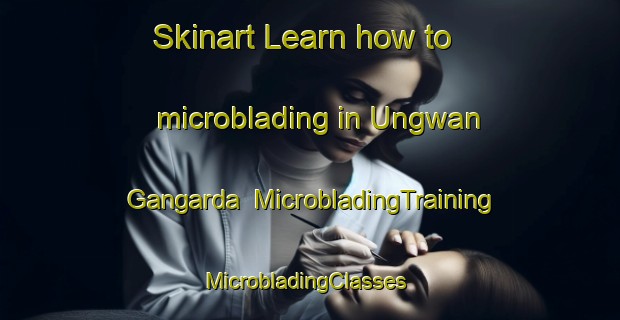 Skinart Learn how to microblading in Ungwan Gangarda | MicrobladingTraining | MicrobladingClasses | SkinartTraining-Nigeria