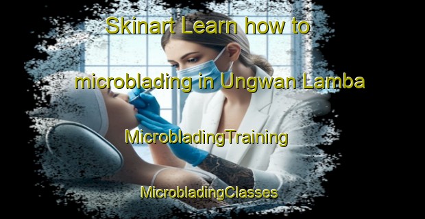 Skinart Learn how to microblading in Ungwan Lamba | MicrobladingTraining | MicrobladingClasses | SkinartTraining-Nigeria