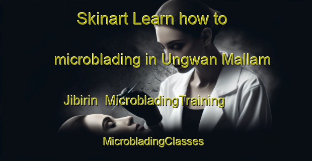 Skinart Learn how to microblading in Ungwan Mallam Jibirin | MicrobladingTraining | MicrobladingClasses | SkinartTraining-Nigeria