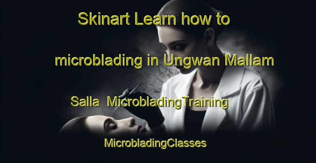 Skinart Learn how to microblading in Ungwan Mallam Salla | MicrobladingTraining | MicrobladingClasses | SkinartTraining-Nigeria