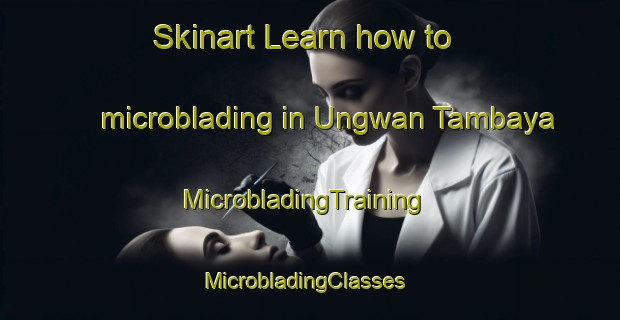 Skinart Learn how to microblading in Ungwan Tambaya | MicrobladingTraining | MicrobladingClasses | SkinartTraining-Nigeria