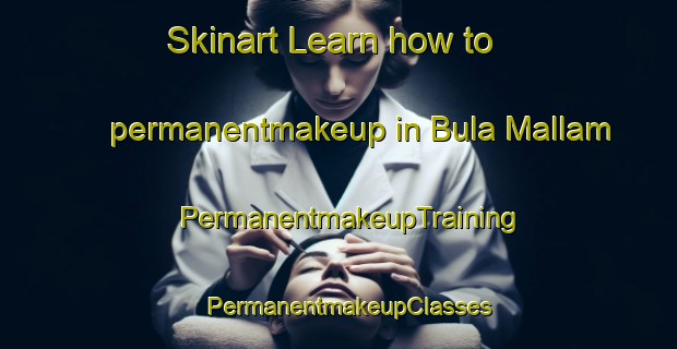 Skinart Learn how to permanentmakeup in Bula Mallam | PermanentmakeupTraining | PermanentmakeupClasses | SkinartTraining-Nigeria