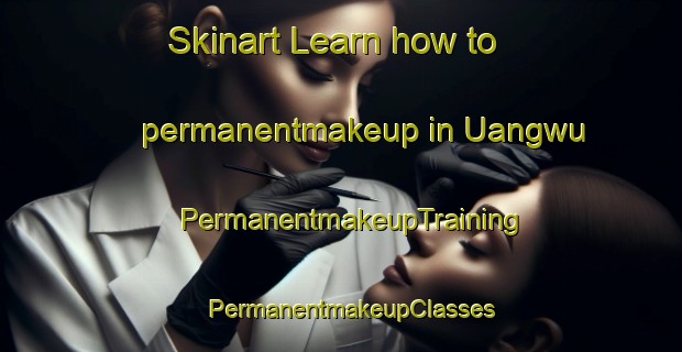 Skinart Learn how to permanentmakeup in Uangwu | PermanentmakeupTraining | PermanentmakeupClasses | SkinartTraining-Nigeria