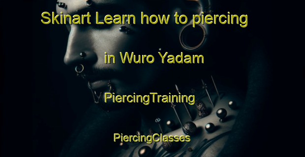 Skinart Learn how to piercing in Wuro Yadam | #PiercingTraining #PiercingClasses #SkinartTraining-Nigeria