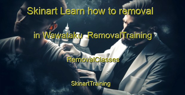Skinart Learn how to removal in Wawataku | RemovalTraining | RemovalClasses | SkinartTraining-Nigeria