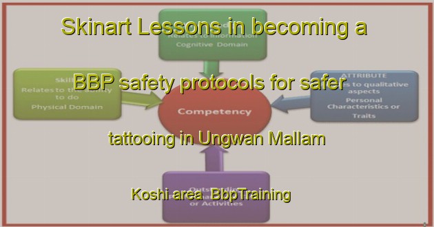 Skinart Lessons in becoming a BBP safety protocols for safer tattooing in Ungwan Mallam Koshi area | BbpTraining | BbpClasses | SkinartTraining-Nigeria