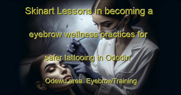 Skinart Lessons in becoming a eyebrow wellness practices for safer tattooing in Ododin Odewu area | EyebrowTraining | EyebrowClasses | SkinartTraining-Nigeria