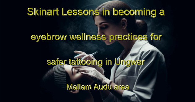 Skinart Lessons in becoming a eyebrow wellness practices for safer tattooing in Ungwar Mallam Audu area | EyebrowTraining | EyebrowClasses | SkinartTraining-Nigeria