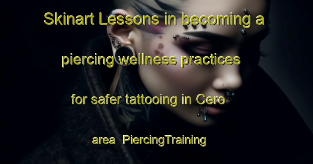 Skinart Lessons in becoming a piercing wellness practices for safer tattooing in Cero area | PiercingTraining | PiercingClasses | SkinartTraining-Nigeria