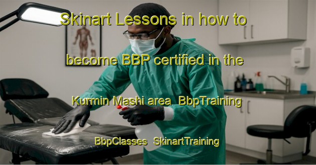 Skinart Lessons in how to become BBP certified in the Kurmin Mashi area | BbpTraining | BbpClasses | SkinartTraining-Nigeria