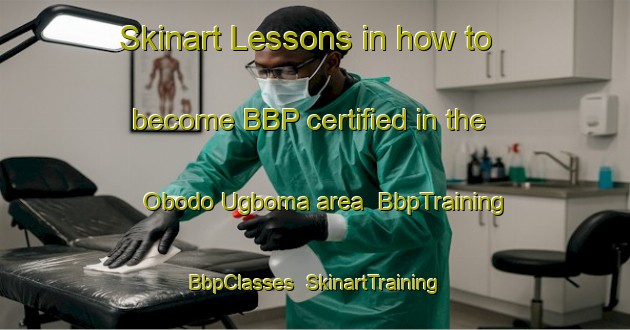 Skinart Lessons in how to become BBP certified in the Obodo Ugboma area | BbpTraining | BbpClasses | SkinartTraining-Nigeria