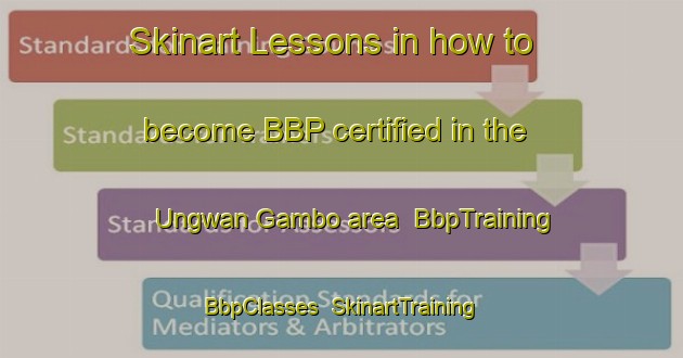 Skinart Lessons in how to become BBP certified in the Ungwan Gambo area | BbpTraining | BbpClasses | SkinartTraining-Nigeria