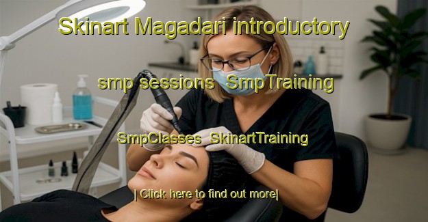 Skinart Magadari introductory smp sessions | SmpTraining | SmpClasses | SkinartTraining-Nigeria