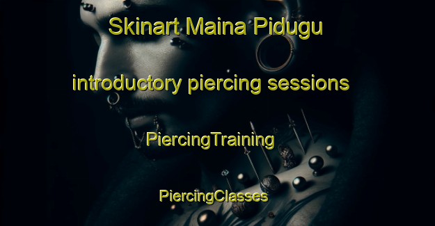 Skinart Maina Pidugu introductory piercing sessions | PiercingTraining | PiercingClasses | SkinartTraining-Nigeria