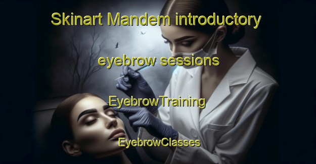 Skinart Mandem introductory eyebrow sessions | EyebrowTraining | EyebrowClasses | SkinartTraining-Nigeria