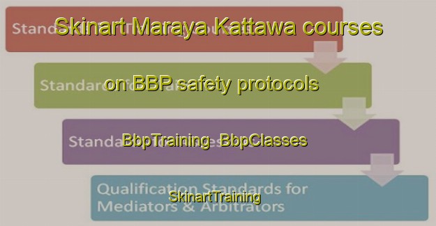 Skinart Maraya Kattawa courses on BBP safety protocols | BbpTraining | BbpClasses | SkinartTraining-Nigeria