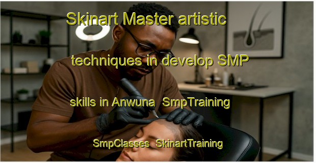 Skinart Master artistic techniques in develop SMP skills in Anwuna | SmpTraining | SmpClasses | SkinartTraining-Nigeria