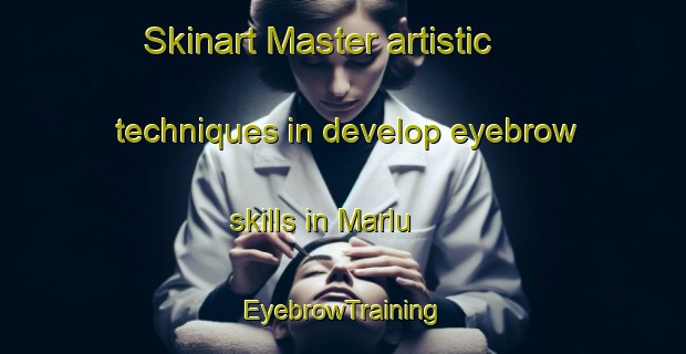 Skinart Master artistic techniques in develop eyebrow skills in Marlu | EyebrowTraining | EyebrowClasses | SkinartTraining-Nigeria