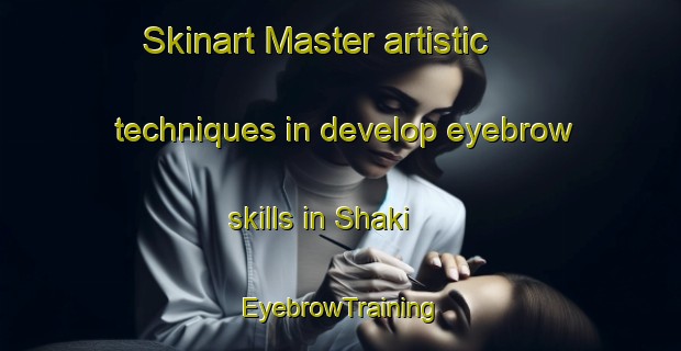 Skinart Master artistic techniques in develop eyebrow skills in Shaki | EyebrowTraining | EyebrowClasses | SkinartTraining-Nigeria