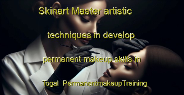 Skinart Master artistic techniques in develop permanent makeup skills in Togal | PermanentmakeupTraining | PermanentmakeupClasses | SkinartTraining-Nigeria