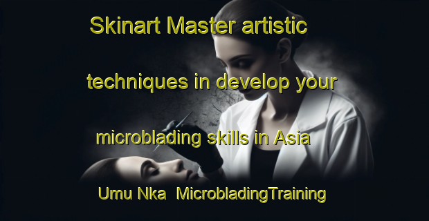 Skinart Master artistic techniques in develop your microblading skills in Asia Umu Nka | MicrobladingTraining | MicrobladingClasses | SkinartTraining-Nigeria