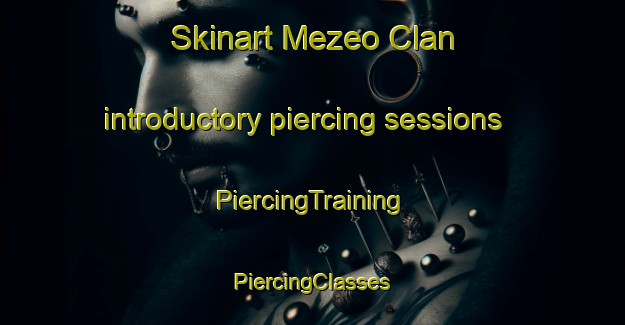 Skinart Mezeo Clan introductory piercing sessions | #PiercingTraining #PiercingClasses #SkinartTraining-Nigeria