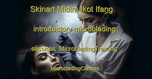 Skinart Midim Ikot Ifang introductory microblading sessions | MicrobladingTraining | MicrobladingClasses | SkinartTraining-Nigeria