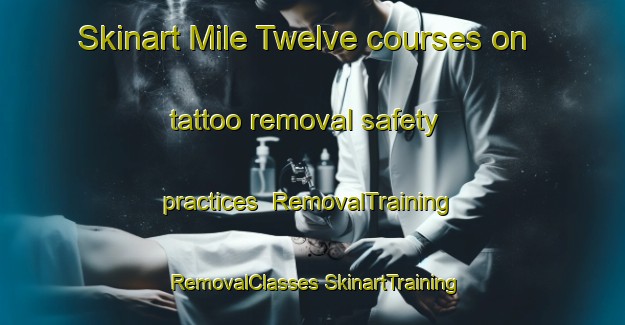 Skinart Mile Twelve courses on tattoo removal safety practices | #RemovalTraining #RemovalClasses #SkinartTraining-Nigeria