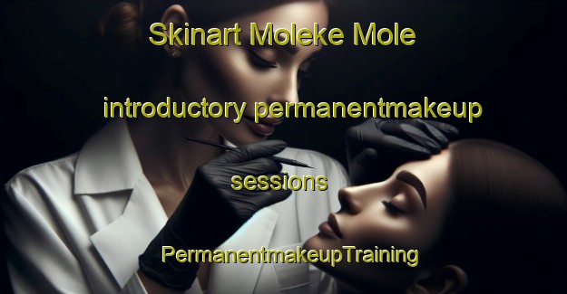 Skinart Moleke Mole introductory permanentmakeup sessions | PermanentmakeupTraining | PermanentmakeupClasses | SkinartTraining-Nigeria