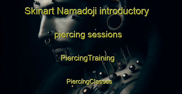 Skinart Namadoji introductory piercing sessions | PiercingTraining | PiercingClasses | SkinartTraining-Nigeria