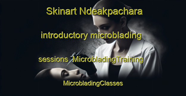 Skinart Ndeakpachara introductory microblading sessions | #MicrobladingTraining #MicrobladingClasses #SkinartTraining-Nigeria