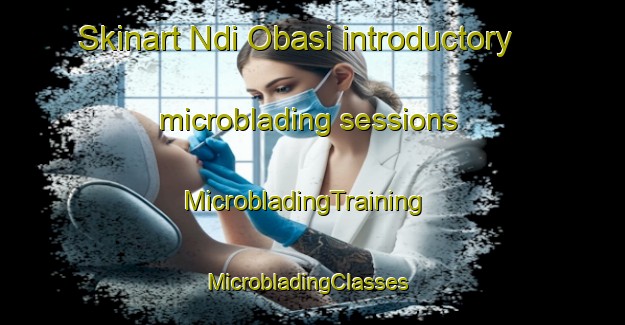 Skinart Ndi Obasi introductory microblading sessions | MicrobladingTraining | MicrobladingClasses | SkinartTraining-Nigeria