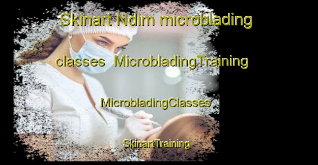 Skinart Ndim microblading classes | MicrobladingTraining | MicrobladingClasses | SkinartTraining-Nigeria