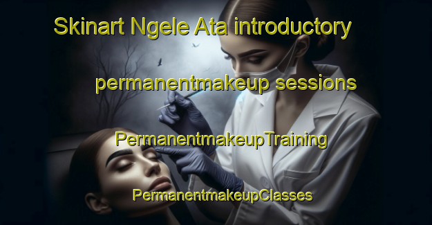 Skinart Ngele Ata introductory permanentmakeup sessions | PermanentmakeupTraining | PermanentmakeupClasses | SkinartTraining-Nigeria
