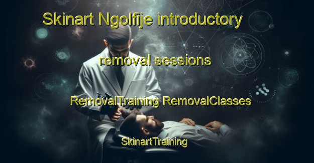 Skinart Ngolfije introductory removal sessions | #RemovalTraining #RemovalClasses #SkinartTraining-Nigeria