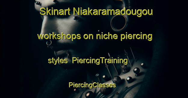 Skinart Niakaramadougou workshops on niche piercing styles | PiercingTraining | PiercingClasses | SkinartTraining-Nigeria