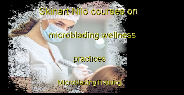 Skinart Nilo courses on microblading wellness practices | MicrobladingTraining | MicrobladingClasses | SkinartTraining-Nigeria